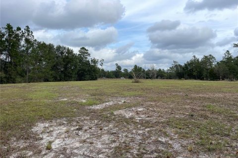 Land in Bronson, Florida № 1347277 - photo 7