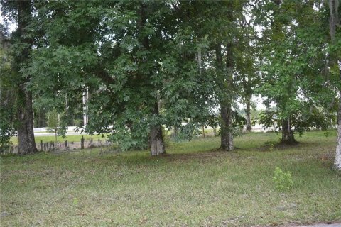 Land in Wildwood, Florida № 2275515 - photo 3