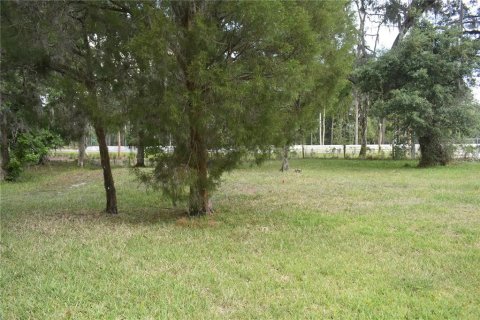 Land in Wildwood, Florida № 2275515
