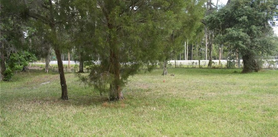 Land in Wildwood, Florida № 2275515