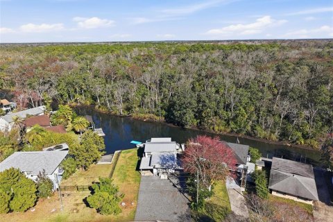 Casa en venta en Weeki Wachee, Florida, 2 dormitorios, 150.87 m2 № 2196539 - foto 3