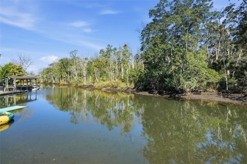 Casa en venta en Weeki Wachee, Florida, 2 dormitorios, 150.87 m2 № 2196539 - foto 29