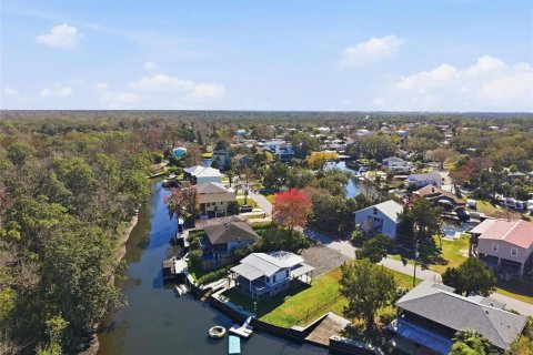 Villa ou maison à Weeki Wachee, Floride 2 chambres, 150.87 m2 № 2196539
