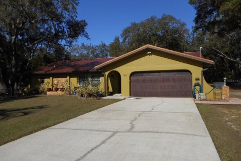 Villa ou maison à vendre à Dunnellon, Floride: 3 chambres, 228.54 m2 № 1555615 - photo 1