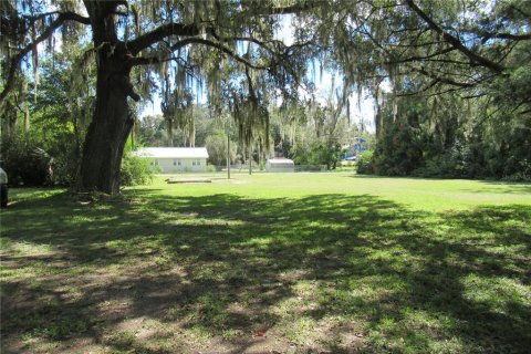 Immobilier commercial à vendre à Waldo, Floride: 71.35 m2 № 2420341 - photo 8