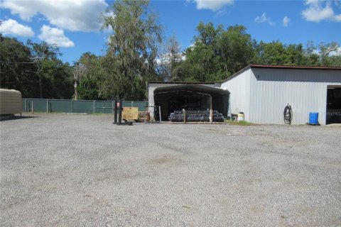 Immobilier commercial à vendre à Waldo, Floride: 71.35 m2 № 2420341 - photo 3