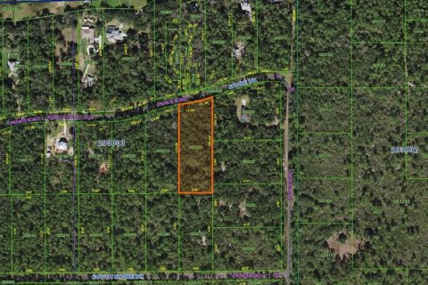 Land in Lake Wales, Florida № 1793200 - photo 2