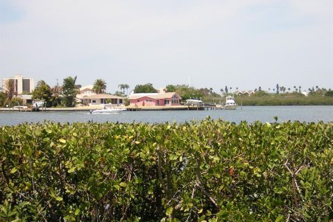 Condo in Largo, Florida, 1 bedroom  № 1541378 - photo 13