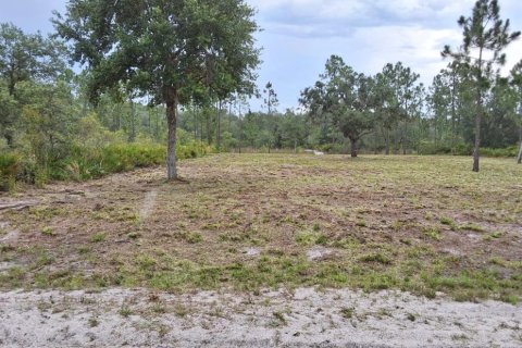 Terrain à vendre à Indian lake estates, Floride № 2234882 - photo 3