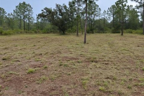 Terrain à Indian lake estates, Floride № 2234882