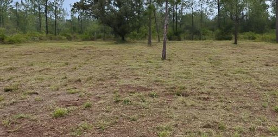 Terrain à Indian lake estates, Floride № 2234882