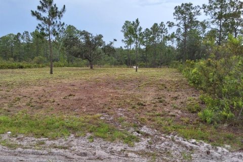 Terrain à vendre à Indian lake estates, Floride № 2234882 - photo 2