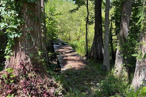 Apartamento en alquiler en New Port Richey, Florida, 3 dormitorios, 89.19 m2 № 2284054 - foto 2
