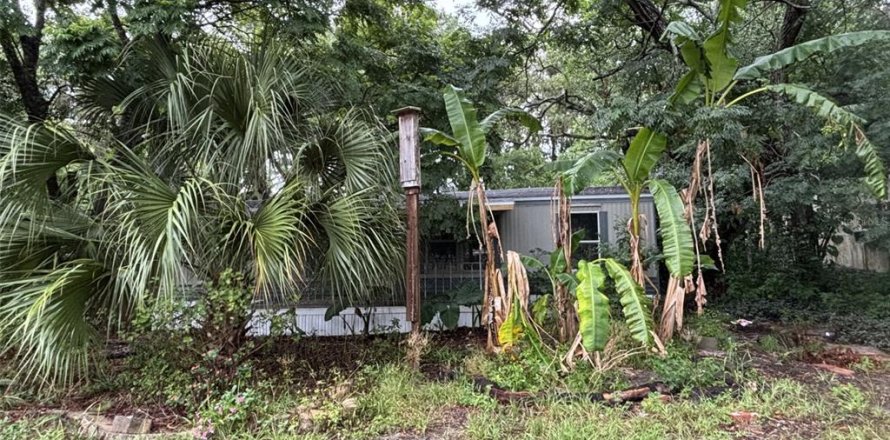 Apartamento en New Port Richey, Florida 3 dormitorios, 89.19 m2 № 2284054