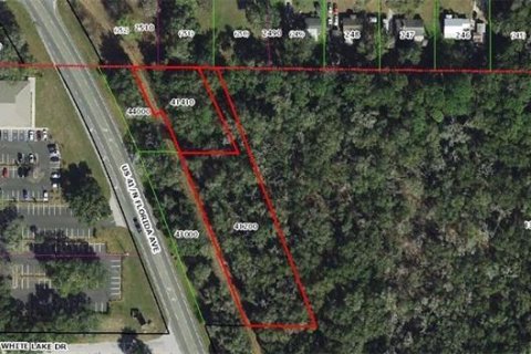 Land in Inverness, Florida № 1837243 - photo 1