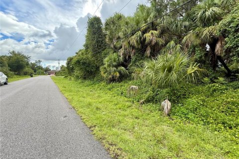 Land in North Port, Florida № 2224081