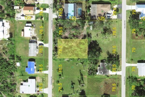 Terreno en Punta Gorda, Florida № 2215275