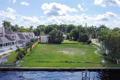 Land in Fort Myers, Florida № 1914015 - photo 2