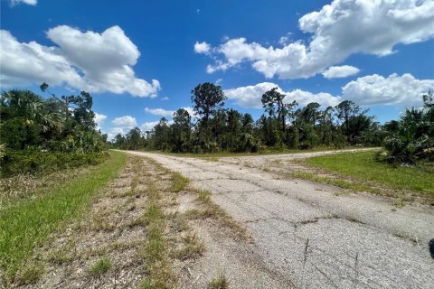 Land in North Port, Florida № 2164979 - photo 2