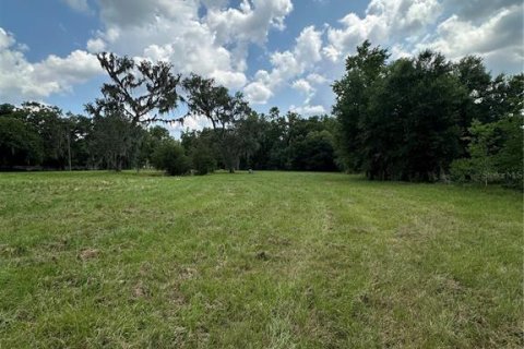 Land in Dade City, Florida № 1789788 - photo 3