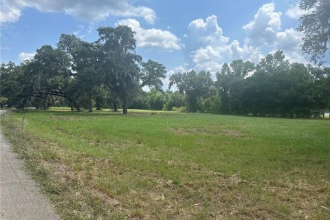 Land in Dade City, Florida № 1789788 - photo 5