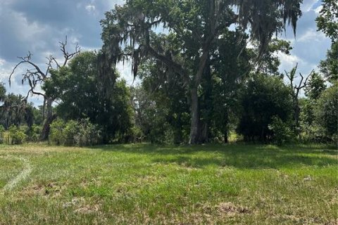 Land in Dade City, Florida № 1789788 - photo 4