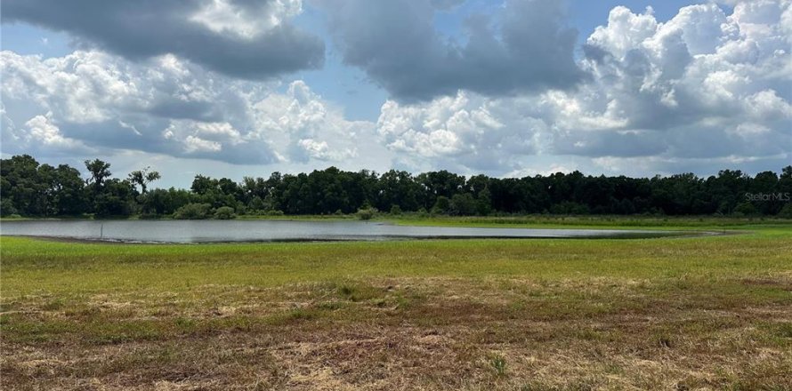 Land in Dade City, Florida № 1789788