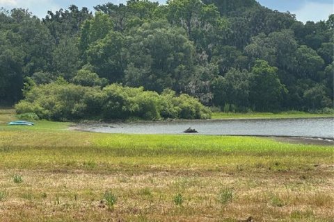 Land in Dade City, Florida № 1789788 - photo 2