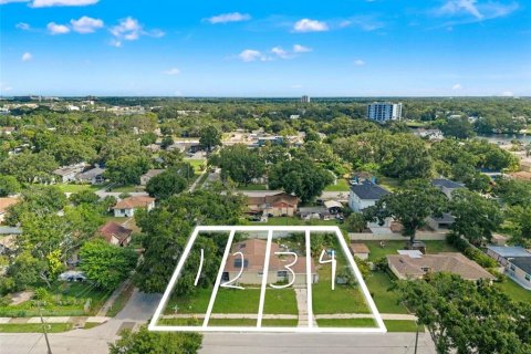 Land in Tampa, Florida № 1893812 - photo 1