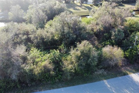Land in Punta Gorda, Florida № 1721734 - photo 8