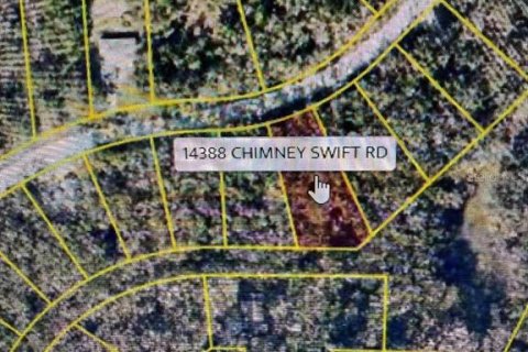 Terreno en venta en Weeki Wachee, Florida № 2165873 - foto 3