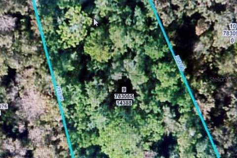 Terreno en Weeki Wachee, Florida № 2165873