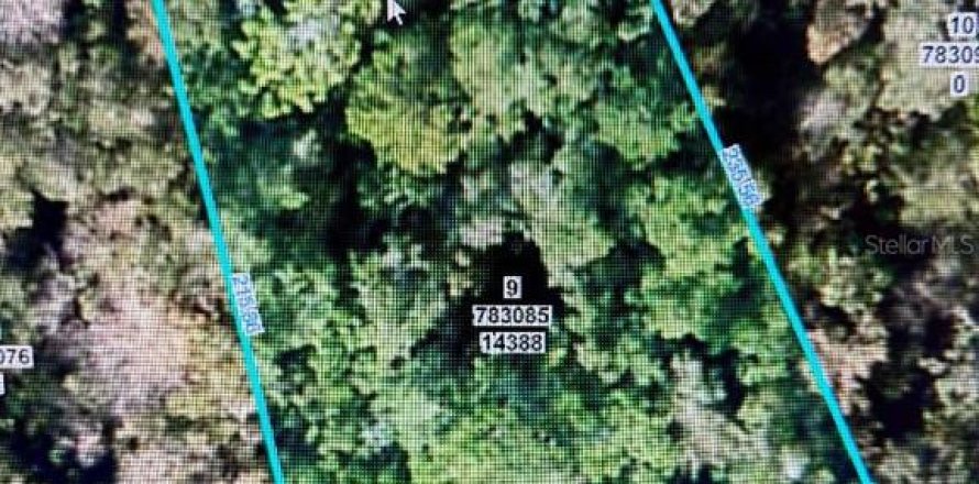 Terreno en Weeki Wachee, Florida № 2165873