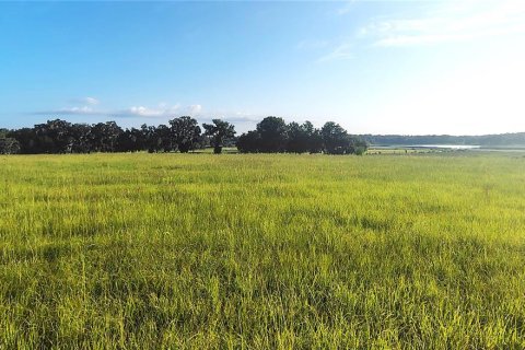 Terreno en venta en Dade City, Florida № 2199783 - foto 11