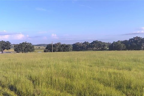 Terreno en venta en Dade City, Florida № 2199783 - foto 8