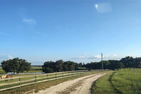 Terreno en venta en Dade City, Florida № 2199783 - foto 10