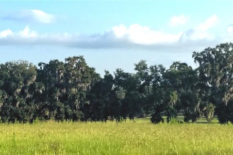 Terreno en venta en Dade City, Florida № 2199783 - foto 13