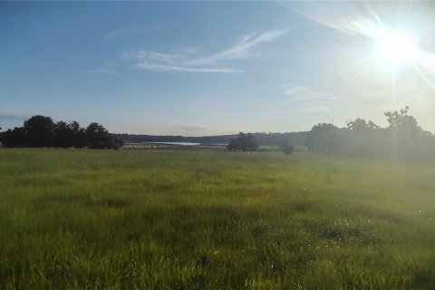 Terreno en venta en Dade City, Florida № 2199783 - foto 9