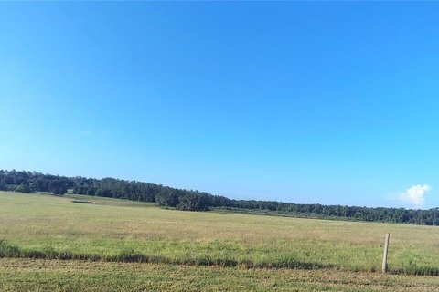 Terreno en venta en Dade City, Florida № 2199783 - foto 7