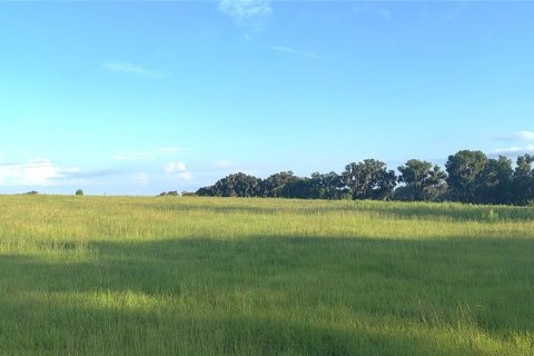 Terreno en venta en Dade City, Florida № 2199783 - foto 4