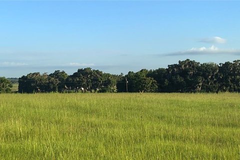 Terreno en venta en Dade City, Florida № 2199783 - foto 12