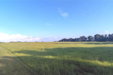 Terreno en venta en Dade City, Florida № 2199783 - foto 6