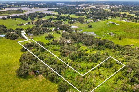 Land in Plant City, Florida № 1900179 - photo 28