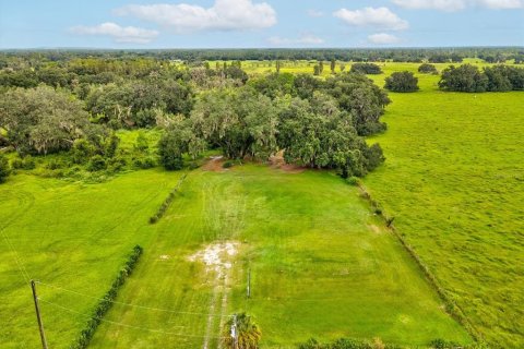 Land in Plant City, Florida № 1900179 - photo 23