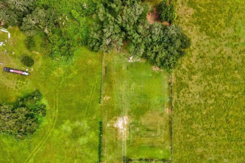 Land in Plant City, Florida № 1900179 - photo 16