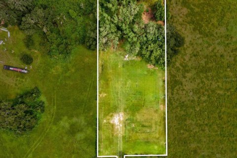 Land in Plant City, Florida № 1900179 - photo 13