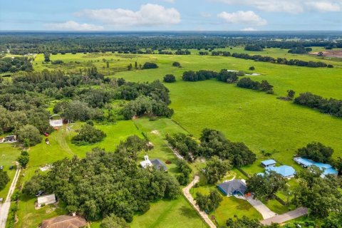 Land in Plant City, Florida № 1900179 - photo 10