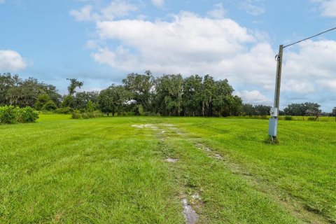 Land in Plant City, Florida № 1900179 - photo 29