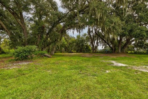 Land in Plant City, Florida № 1900179 - photo 2