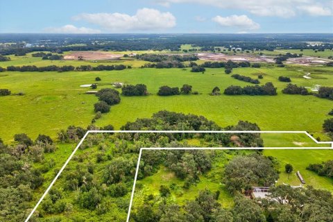 Land in Plant City, Florida № 1900179 - photo 22